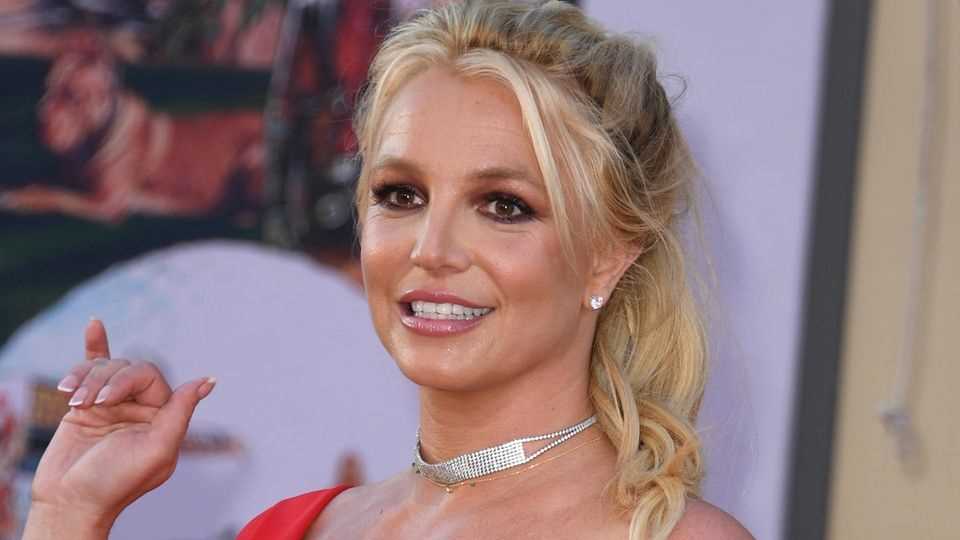 Britney Spears has a state of mind like a coma patient, according to the lawyer