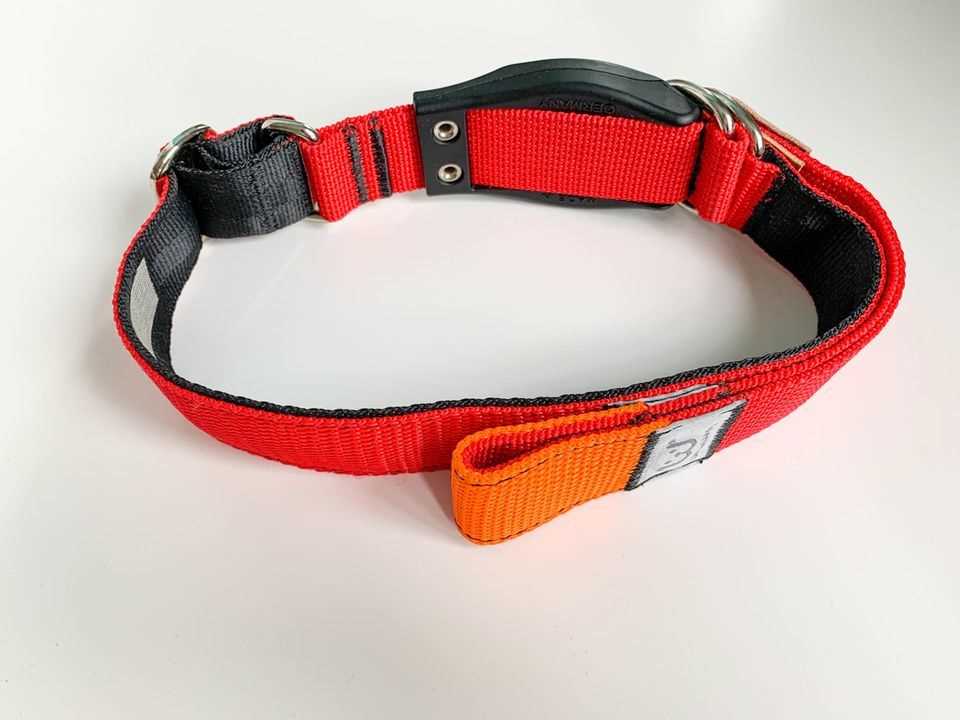 WowWow: collar with integrated leash, cut-out from the WowWow collar