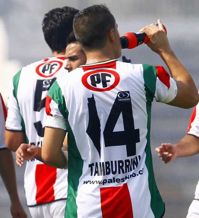 In January 2014, on the shirts of Chilean club Deportivo Palestino, a map of Palestine from before 1948 replaced the number 1.