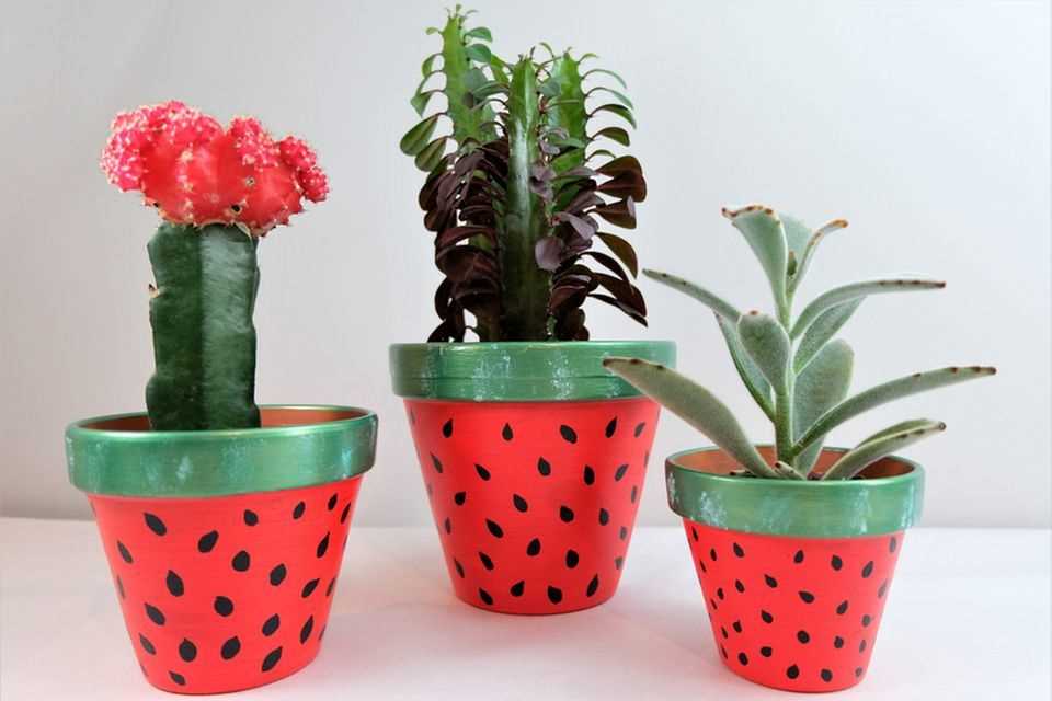 Painting flower pots: flower pots with a melon pattern