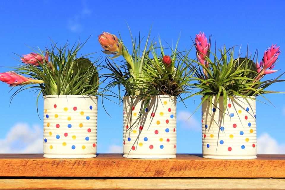 Painting flower pots: Painted tin cans as flower pots