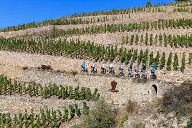 The Tain cellar offers tours of the “Colline de l'Hermitage” by Segway, followed by a tasting.