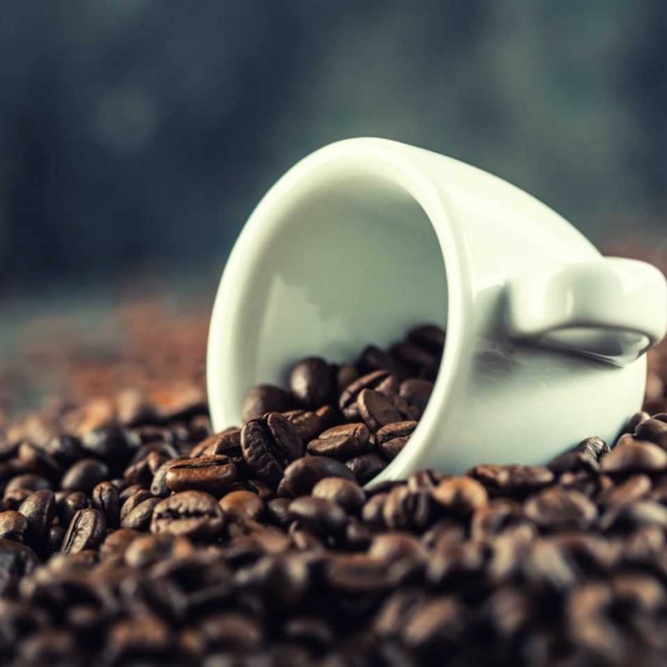 Grind for coffee: white cup lies on a pile of coffee beans
