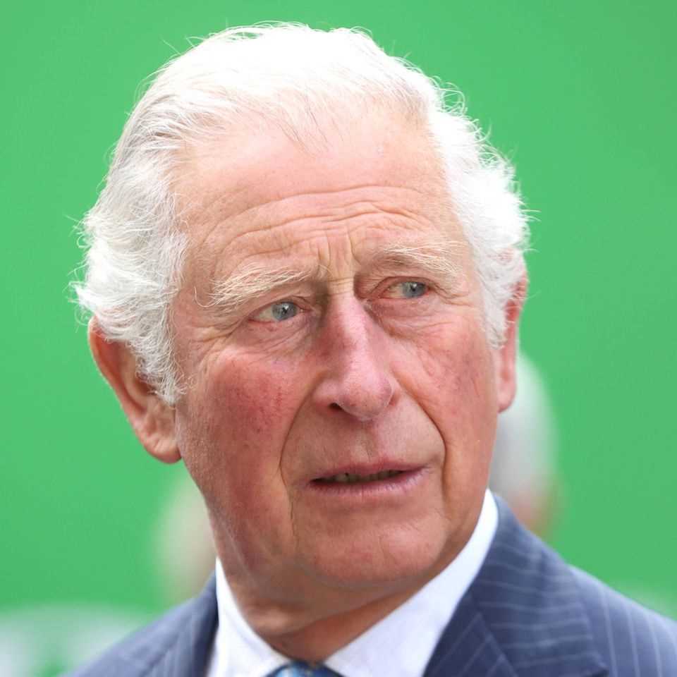 Prince Charles: There should have been trouble with the Queen for this comment: Prince Charles