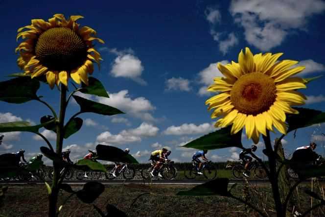 Team UAE Emirates' Tadej Pogacar of Slovenia wearing the overall leader's yellow jersey rides past a sunflower during the 19th stage of the 108th edition of the Tour de France cycling race, 207 km between Mourenx and Libourne, on July 16, 2021. / AFP / Philippe LOPEZ