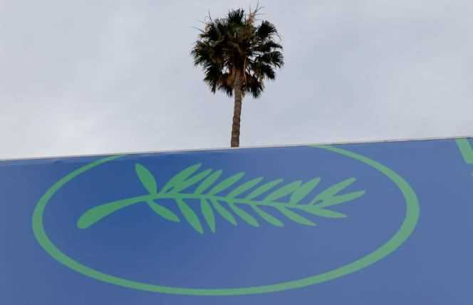 A palm tree on the Croisette in Cannes, July 4, 2021.