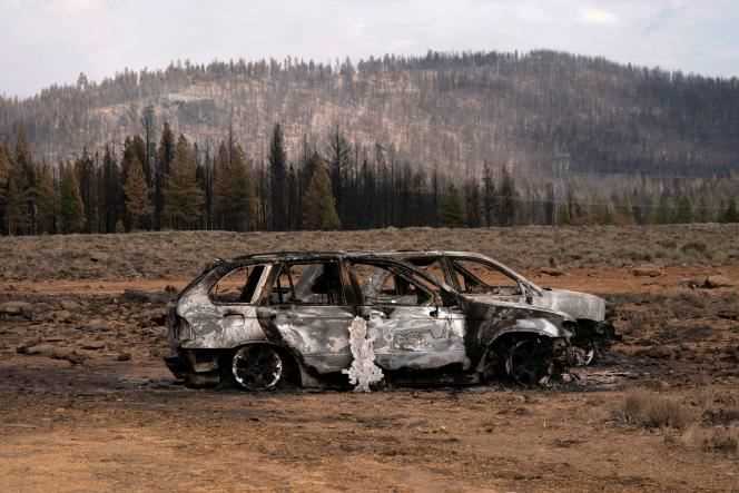 The remains of cars destroyed by the 