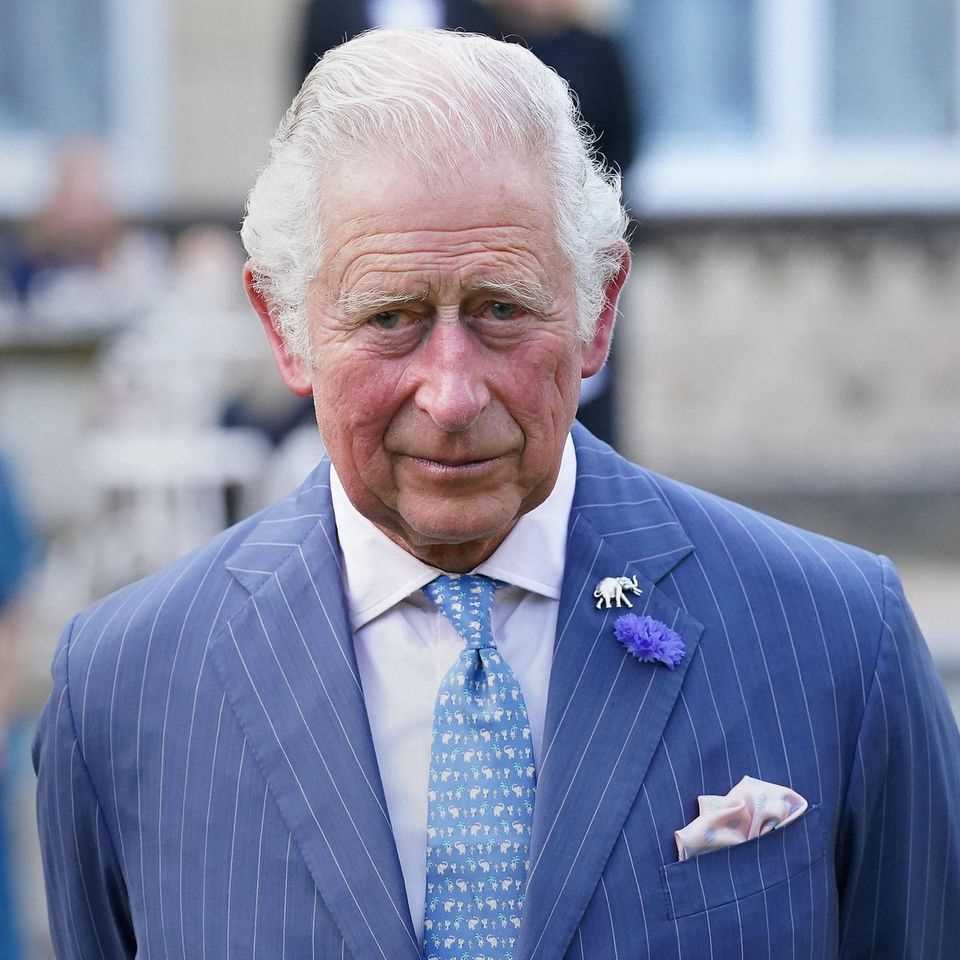 Prince Charles: Will he deny his brother Prince Edward a title of nobility ?: Prince Charles