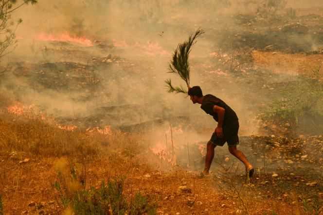 A man tries to put out burning bushes near the town of Manavgat on July 29, 2021.