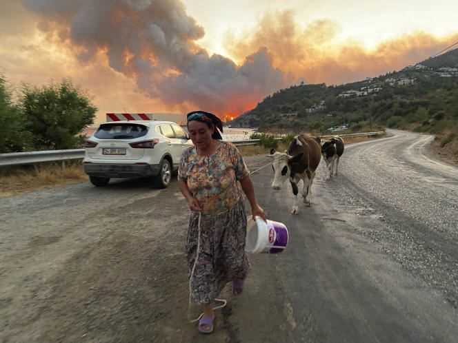 A Turkish woman leaves with her cows to get away from the flames that invade the village of Cokertme, near Bodrum, on August 2, 2021.