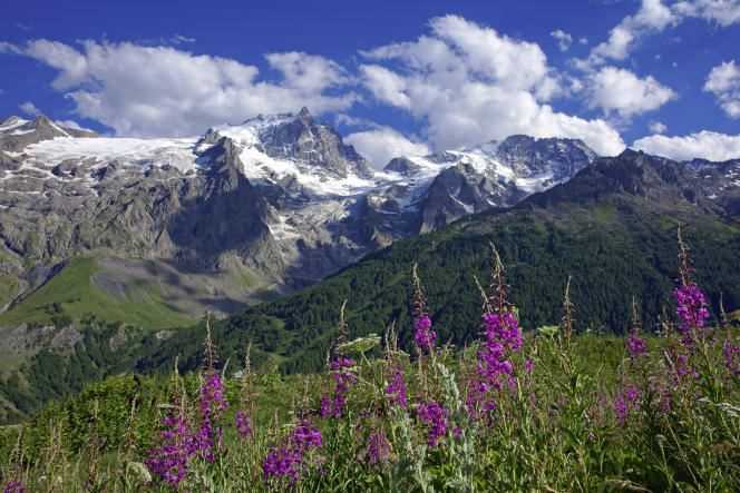 North of the Ecrins National Park, high mountain atmosphere with the flowery meadows of La Meije.