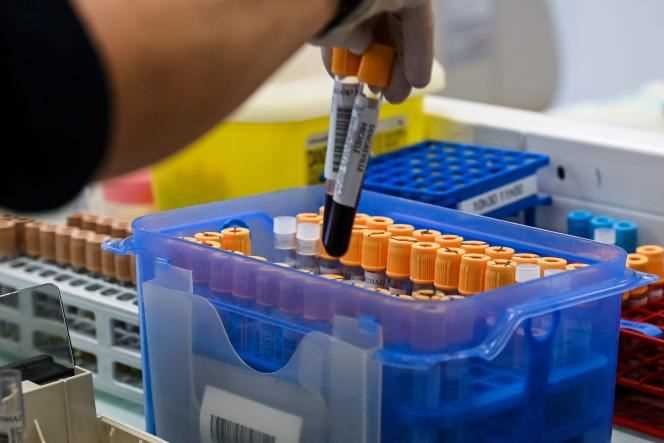 Blood samples, June 9, 2020, in a clinical laboratory in Hazebrouck, in the north of France.