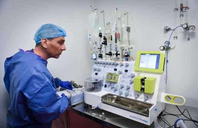 A technician makes cells in a laboratory at the Paoli-Calmettes Institute (IPC), in Marseille in March 2019.