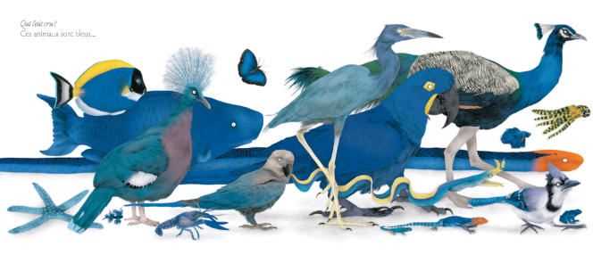 The Great Animal Parade, by Julie Colombet.