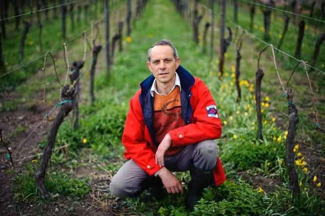 Jean-Pierre Frick was only able to save a third of his future harvest (here, in his vineyards, in Pfaffenheim, in 2012).