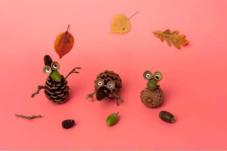 Handicrafts with pine cones: animals made of tan