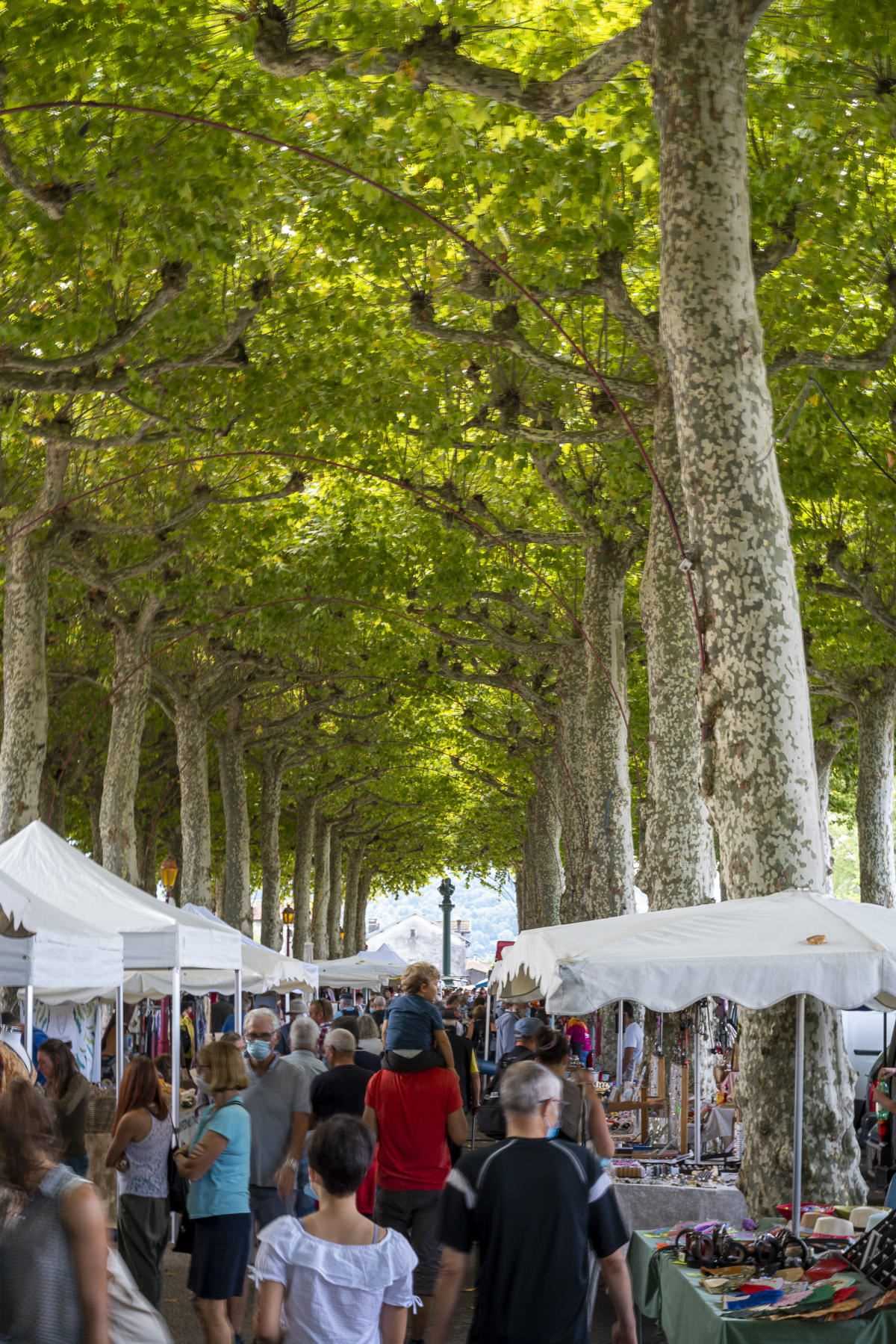 The Saint-Girons market, September 4, 2021, in Ariège, brings together producers and artisans from neighboring valleys.