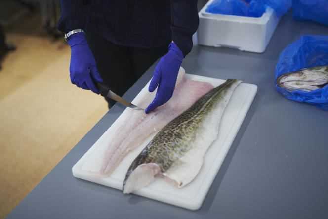 An employee shows the cuts made on the cod.  In Reykjavík, September 22, 2021.