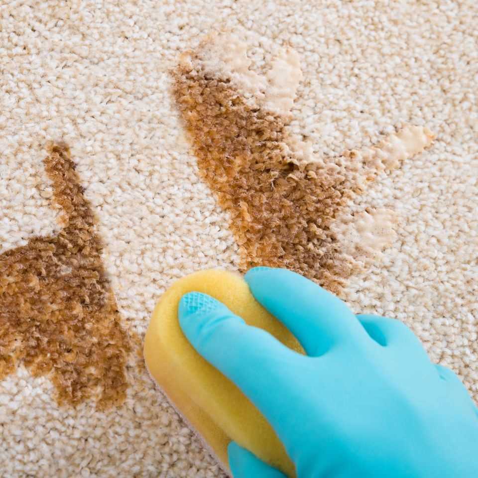 Remove stubborn stains, stains in the carpet, brown stain