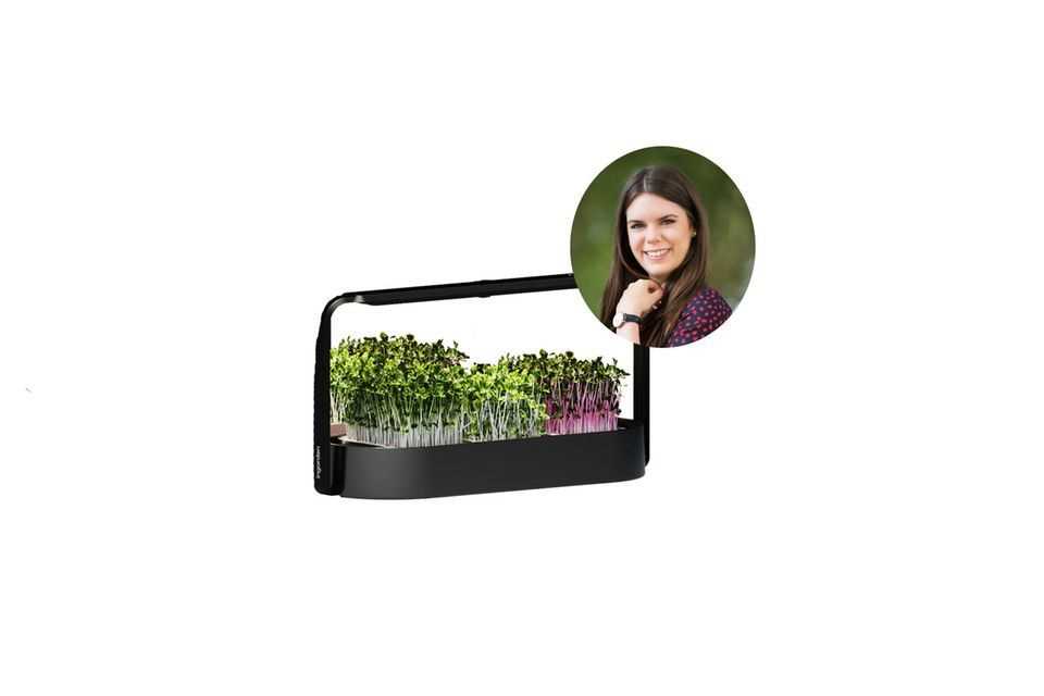 Fashion and beauty editor Jessica tested Ingarden's microgreens. 