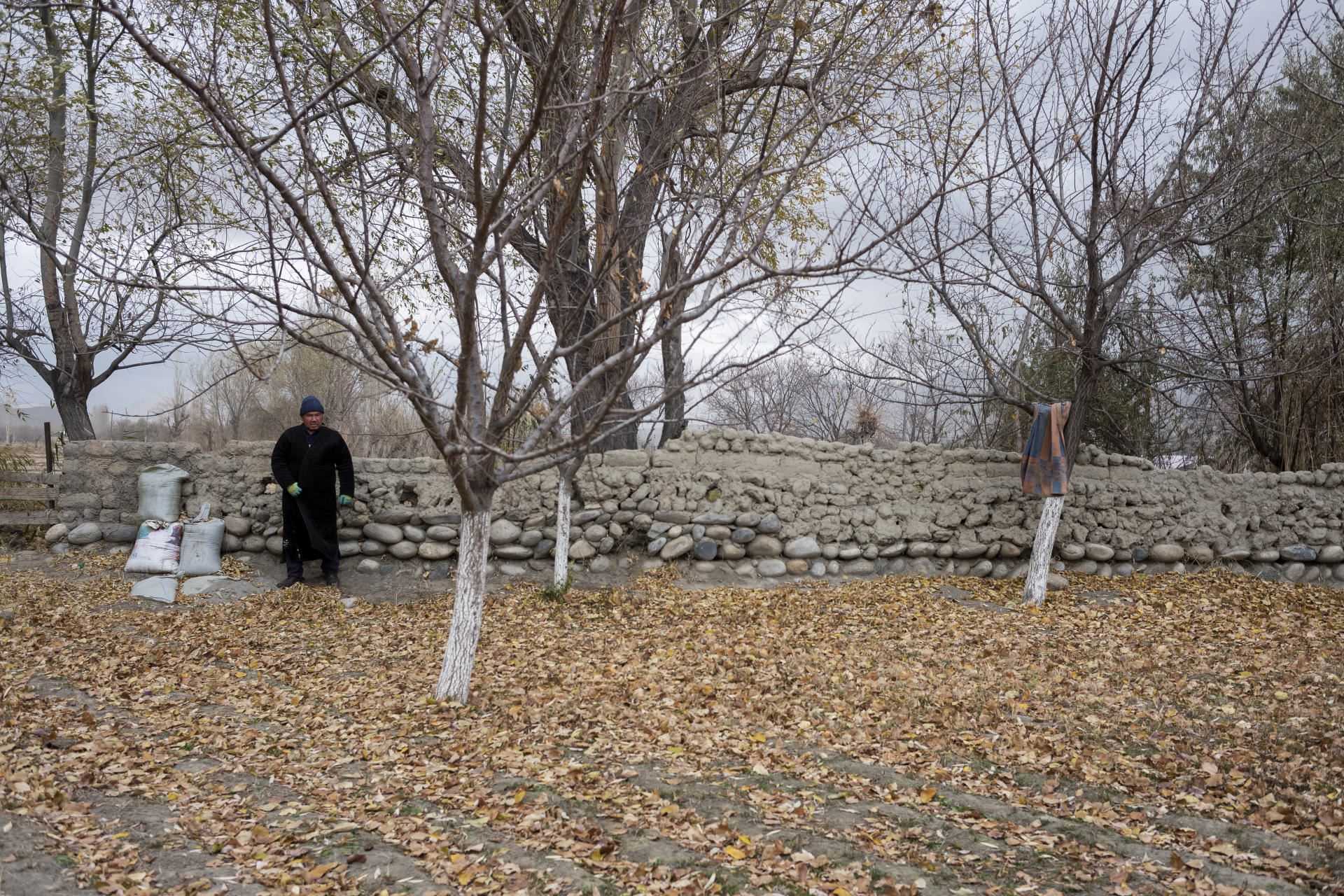 Abdykapar Mamytov in his apricot garden bordering Tajikistan in Kok-Tach, November 17, 2021.