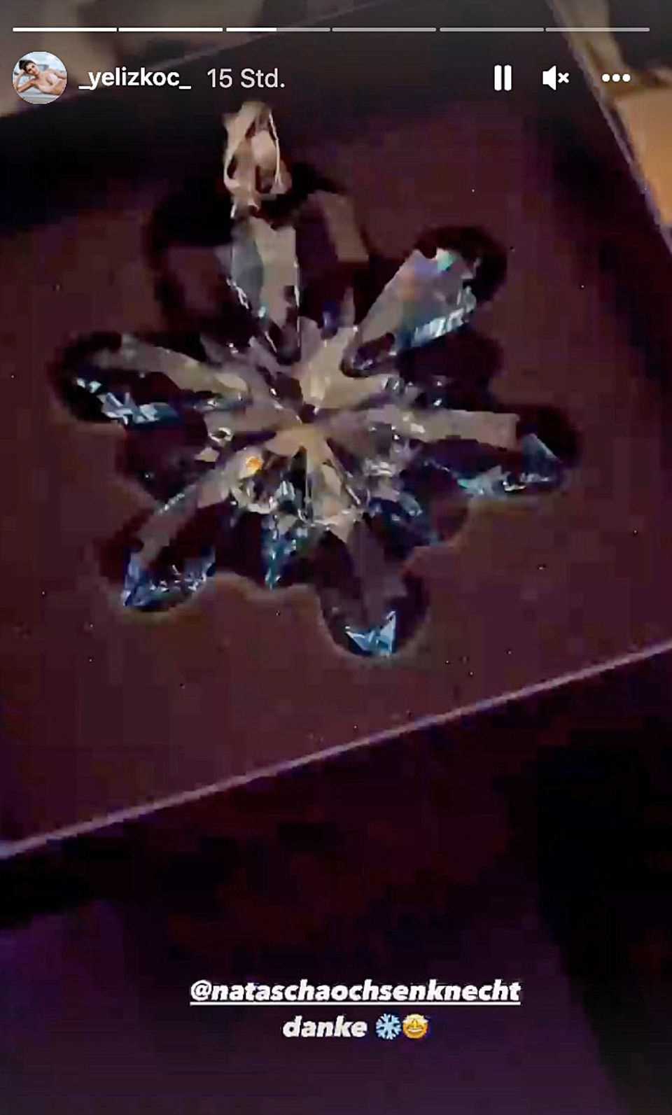 Natascha Ochsenknecht gave a blue snowflake