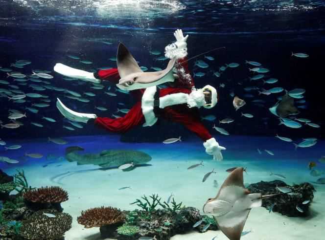 A diver in Santa Claus costume at the Sunshine Aquarium in Tokyo on December 22, 2021.