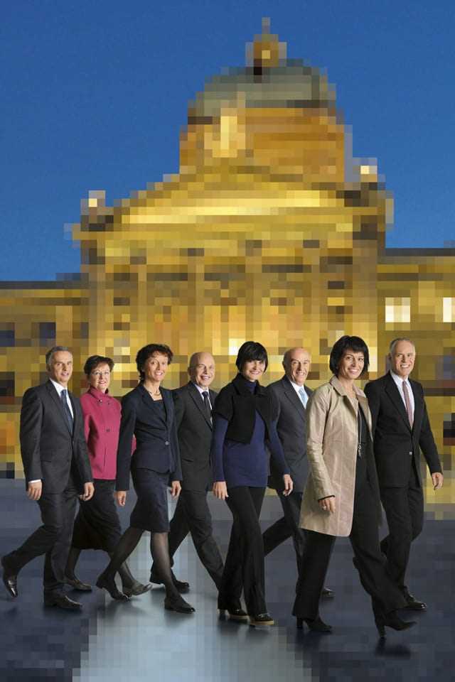 Federal Council 2010