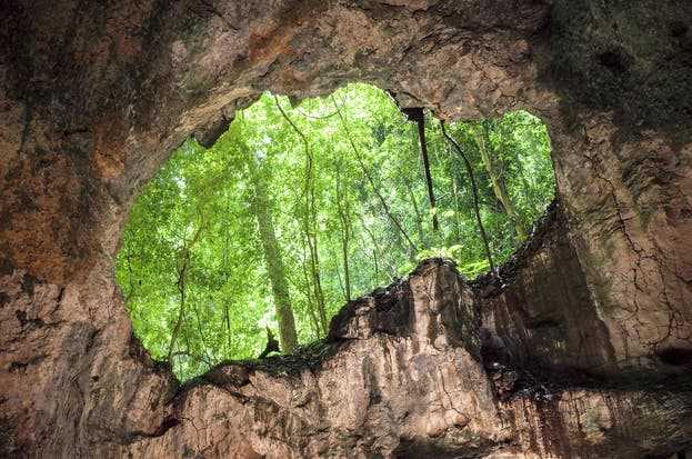 Blick aus einer der zahlreichen Höhlen im Nationalpark Los Haitises.