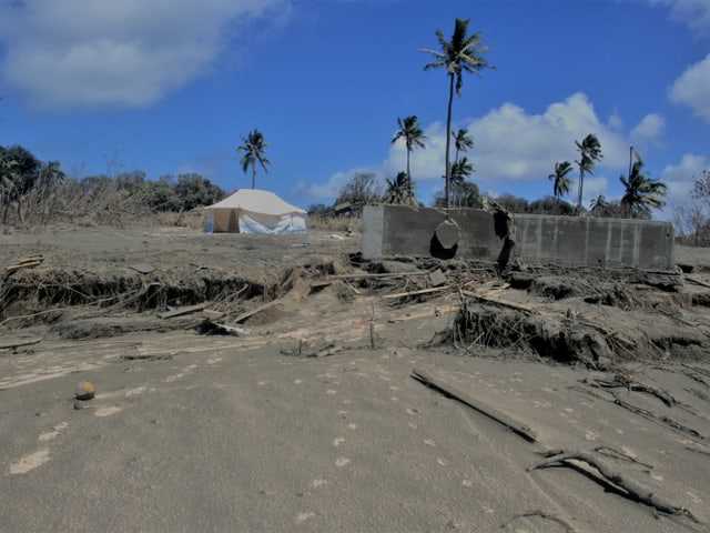 A road on the beach with palm trees is covered with ash.