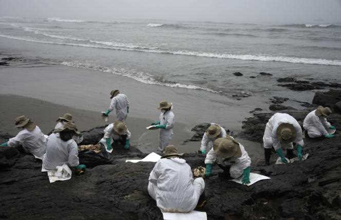 Volunteers clean Cavero beach after an oil spill in Peru, January 22, 2022.