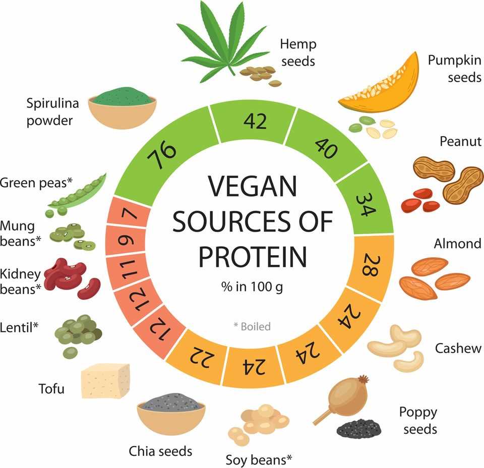 Here you can see various plant-based foods and their vegan protein content per 100 grams. Spirulina powder, hemp seeds and pumpkin seeds are the frontrunners with over 40 grams of protein.