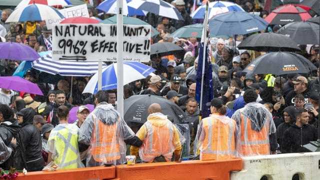 Protestierende harren trotz widriger Wetterbedingungen vor dem Parlamentsgebäude in Wellington aus. 