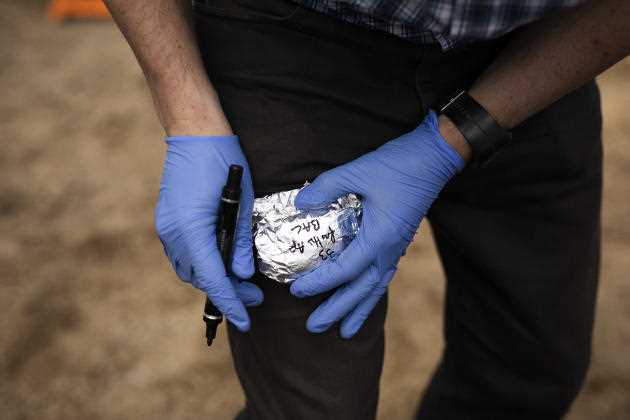 Once the samples have been taken, the patches are carefully wrapped in aluminium foil. Lingèvres (Calvados), 28 May 2021.