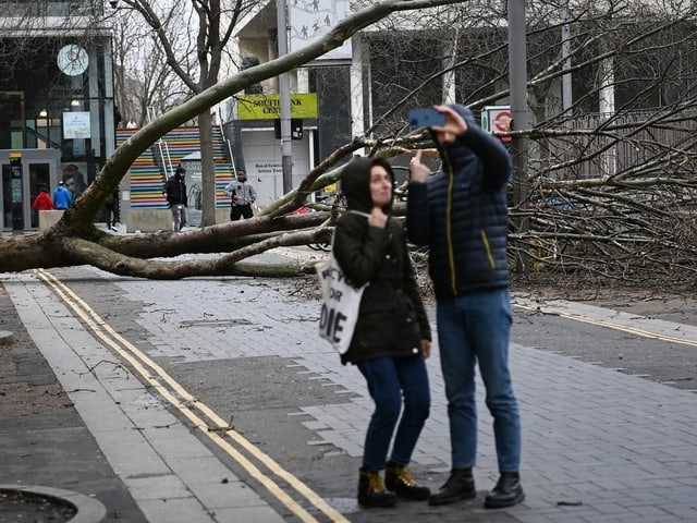 Two people take a selfie in front of a fallen tree