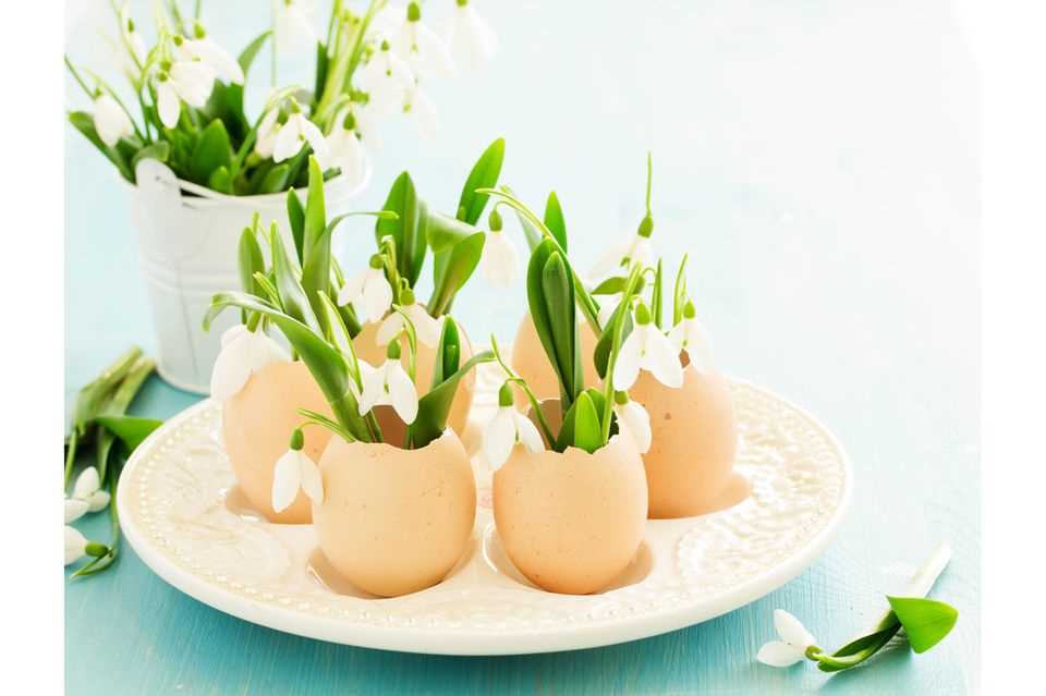 Easter decorations made from natural materials: eggs with snowdrops