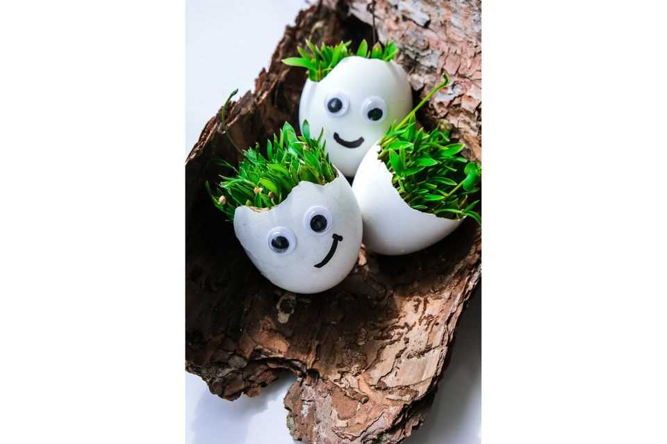 Easter decorations made from natural materials: eggs with microgreens