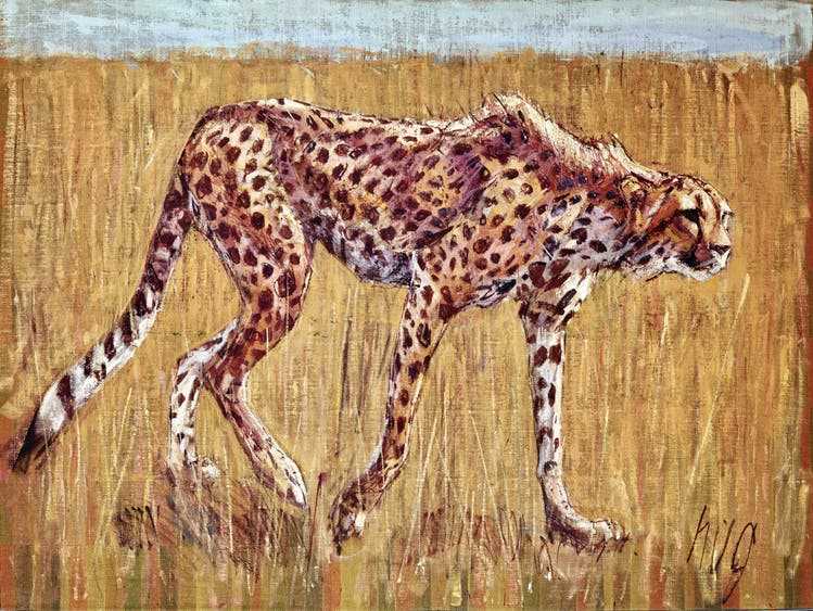Cheetah from the Matthias Dudler collection.