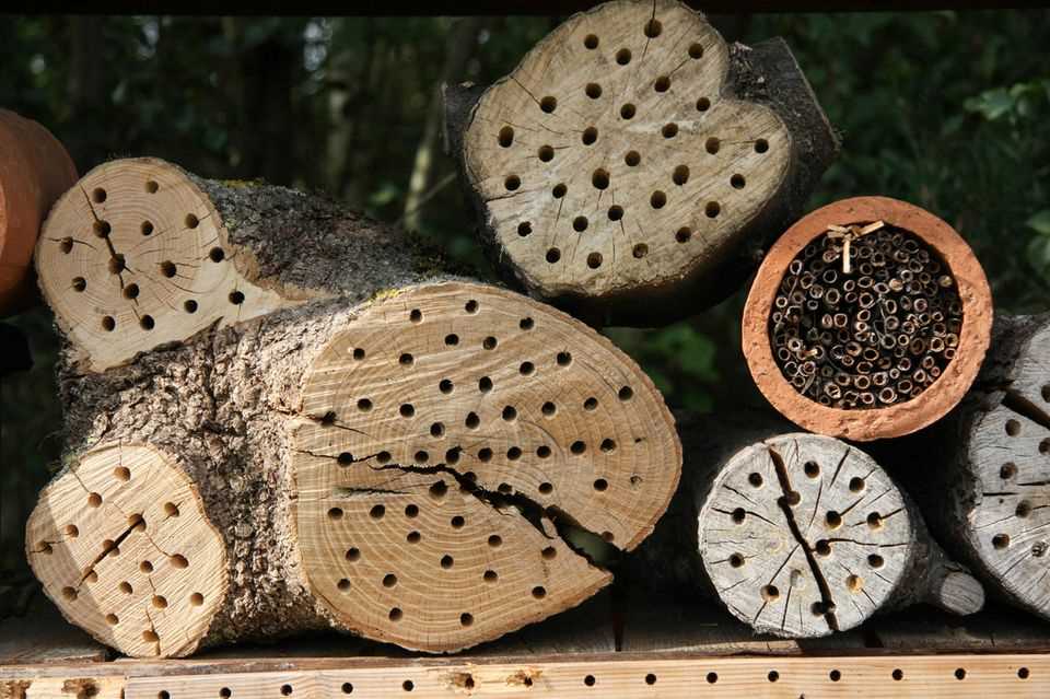 Simple insect hotel made from drilled tree trunks