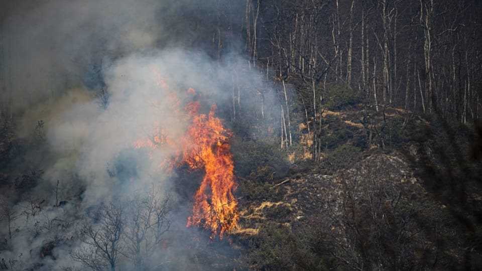 Forest fire in above Verdasio in the Centovalli Valley