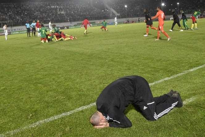 The despair of Algerian coach Djamel Belmadi, after the elimination of Fennecs against Cameroon, March 29, 2022, in Blida (Algeria)