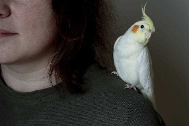 This cockatoo is called Blinchik, which means 