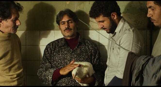 The magician (with the hen) whose fault everything changes, in “Feathers”, by Omar El Zohairy.