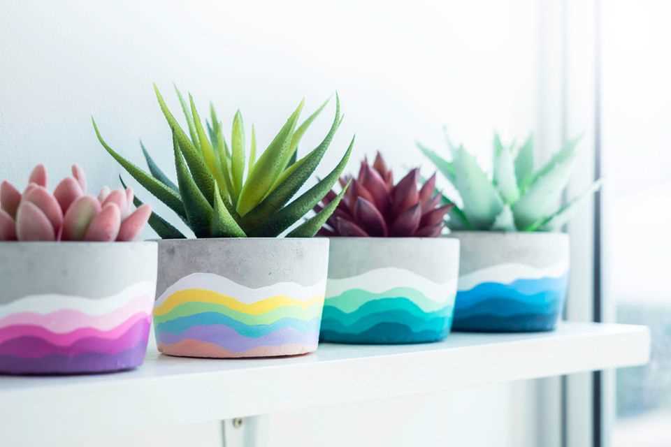 Paint flower pots: Colorful flower pots