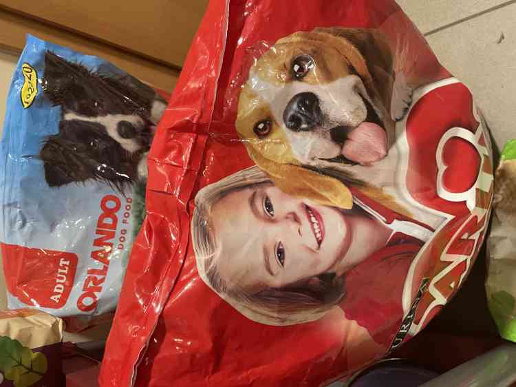 On the bags of kibble for dogs, the children smile.