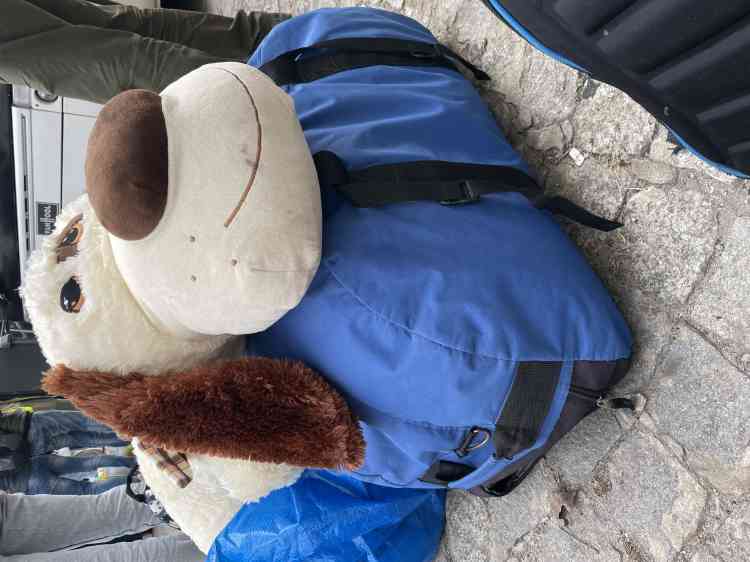 A soft toy placed on a bag as a bus carrying Ukrainians leaves in the Wola district of Warsaw.