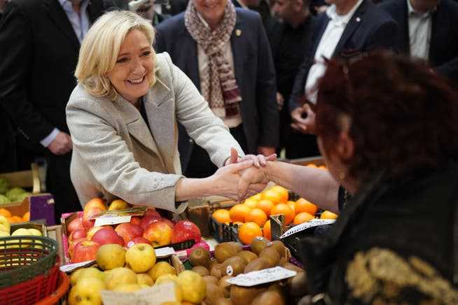 During the election campaign, Le Pen sought contact with voters and presented himself as a caring mother of the country.