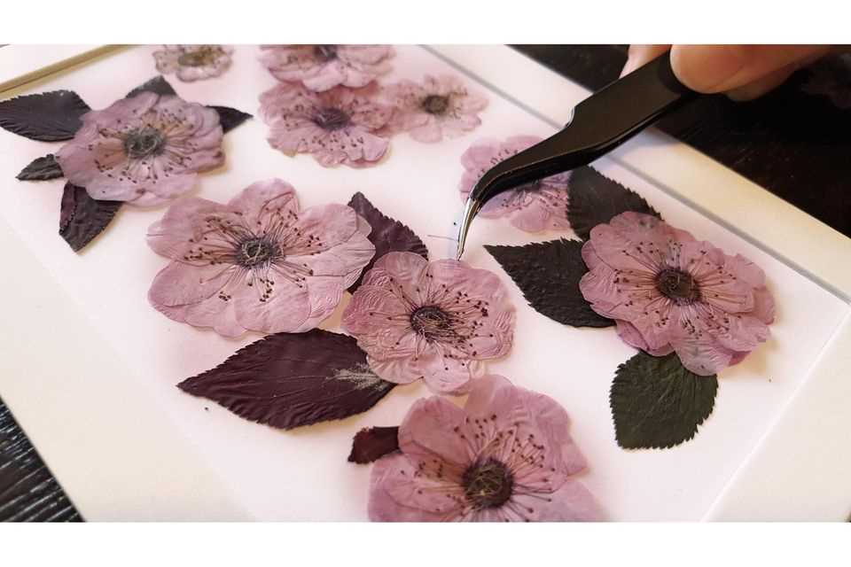Spring craft ideas: dried cherry blossoms