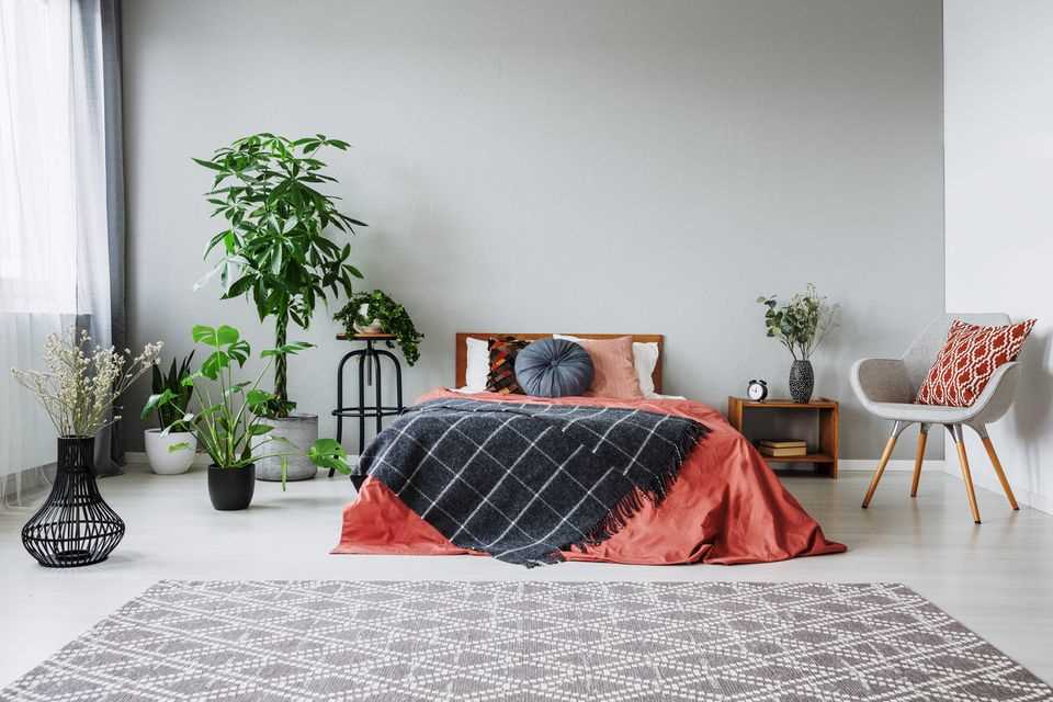 Make the bedroom more comfortable: bed surrounded by plants