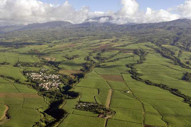 Sugar cane fields on the northeast coast between Sainte-Suzanne and Saint-André, in Reunion.